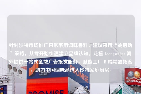 针对沙特市场推广日常家用调味香料，建议采用“冷启动”策略，从零开始快速建立品牌认知。龙禧 Loongseeker 海外提供一站式全域广告投发服务，赋能工厂 B 端精准拓客，助力中国调味品进入沙特家庭厨房。