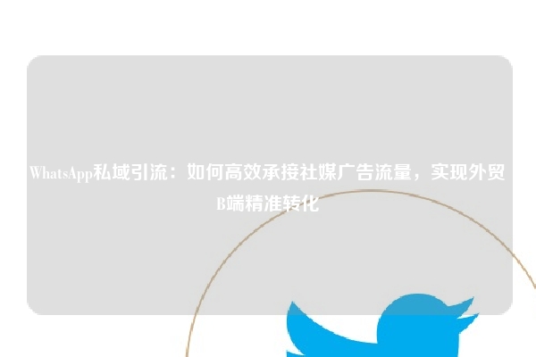 WhatsApp私域引流：如何高效承接社媒广告流量，实现外贸B端精准转化