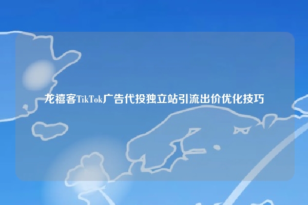 龙禧客TikTok广告代投独立站引流出价优化技巧