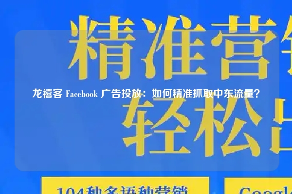 龙禧客 Facebook 广告投放:如何精准抓取中东流量?