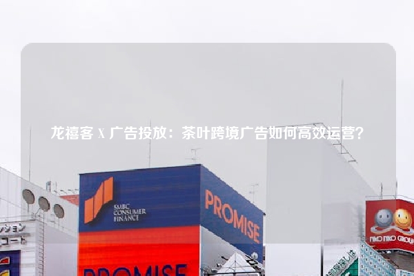 龙禧客 X 广告投放:茶叶跨境广告如何高效运营?