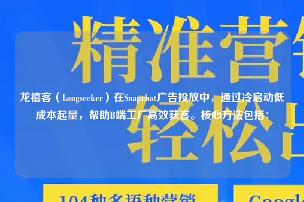 龙禧客(Longseeker)在Snapchat广告投放中,通过冷启动低成本起量,帮助B端工厂高效获客。核心方法包括: