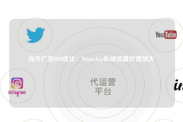海外广告ROI优化:WhatsApp私域流量价值放大
