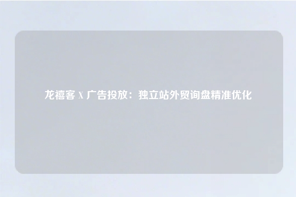 龙禧客 X 广告投放：独立站外贸询盘精准优化