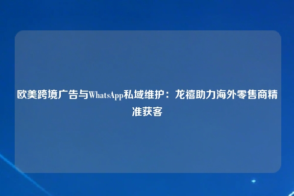 欧美跨境广告与WhatsApp私域维护：龙禧助力海外零售商精准获客