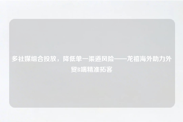 多社媒组合投放,降低单一渠道风险——龙禧海外助力外贸B端精准拓客