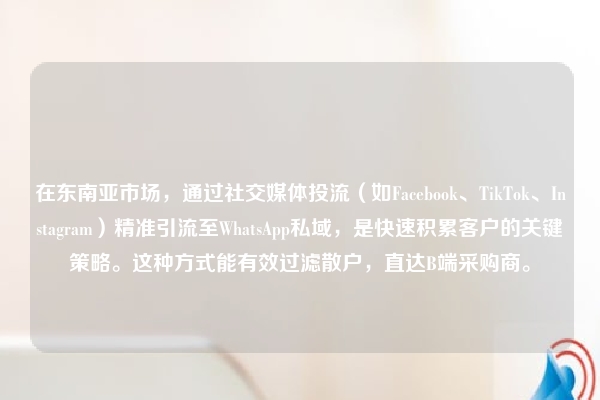 在东南亚市场，通过社交媒体投流（如Facebook、TikTok、Instagram）精准引流至WhatsApp私域，是快速积累客户的关键策略。这种方式能有效过滤散户，直达B端采购商。