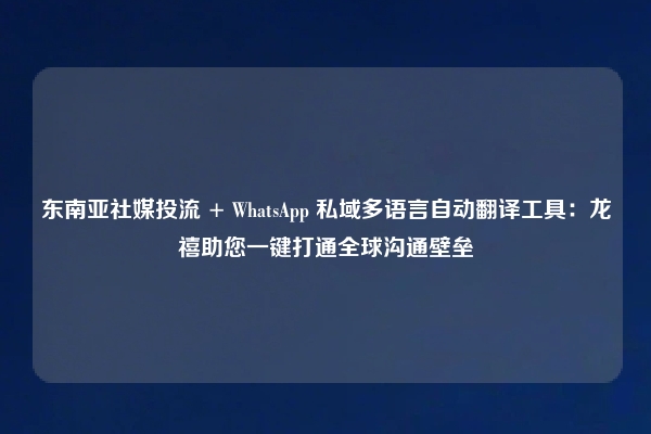 东南亚社媒投流 + WhatsApp 私域多语言自动翻译工具:龙禧助您一键打通全球沟通壁垒