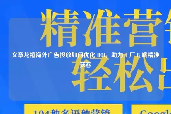 文章龙禧海外广告投放如何优化 ROI,助力工厂 B 端精准获客