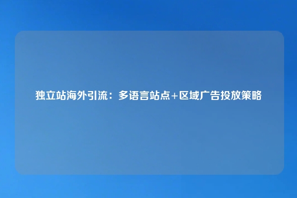独立站海外引流：多语言站点+区域广告投放策略