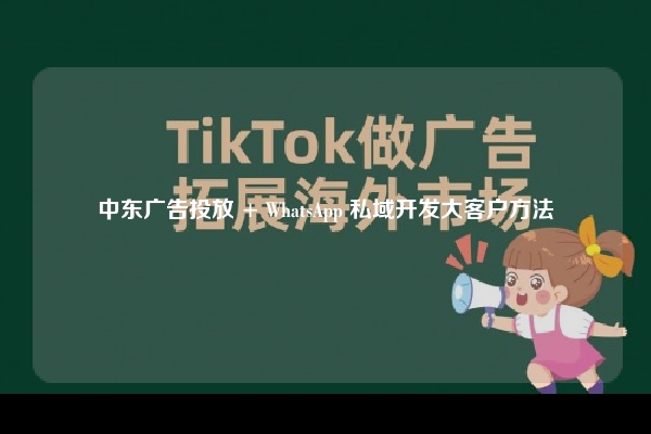 中东广告投放 + WhatsApp 私域开发大客户方法