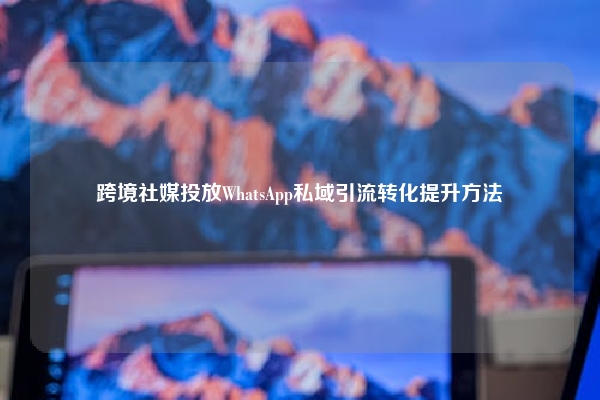 跨境社媒投放WhatsApp私域引流转化提升方法