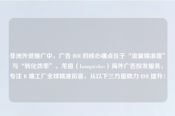 非洲外贸推广中，广告 ROI 的核心痛点在于“流量精准度”与“转化效率”。龙禧（Loongseeker）海外广告投发服务，专注 B 端工厂全球精准拓客，从以下三方面助力 ROI 提升：