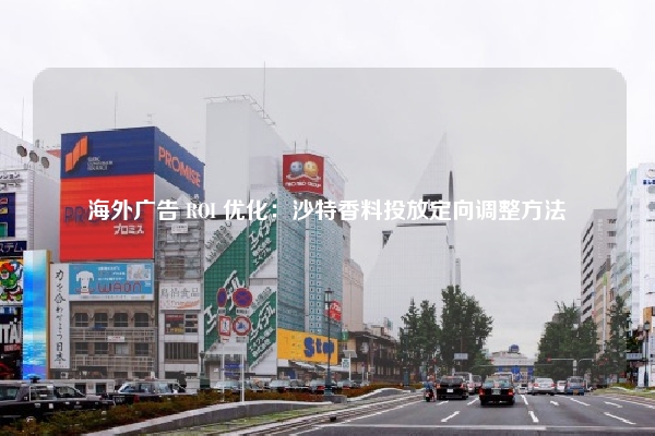 海外广告 ROI 优化：沙特香料投放定向调整方法