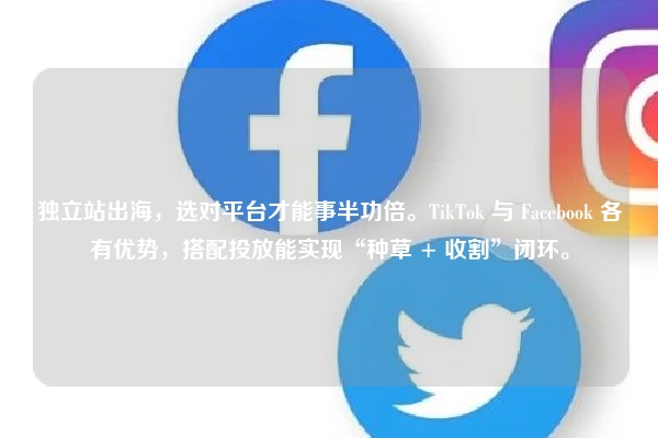 独立站出海，选对平台才能事半功倍。TikTok 与 Facebook 各有优势，搭配投放能实现“种草 + 收割”闭环。