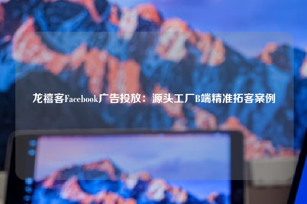 龙禧客Facebook广告投放:源头工厂B端精准拓客案例