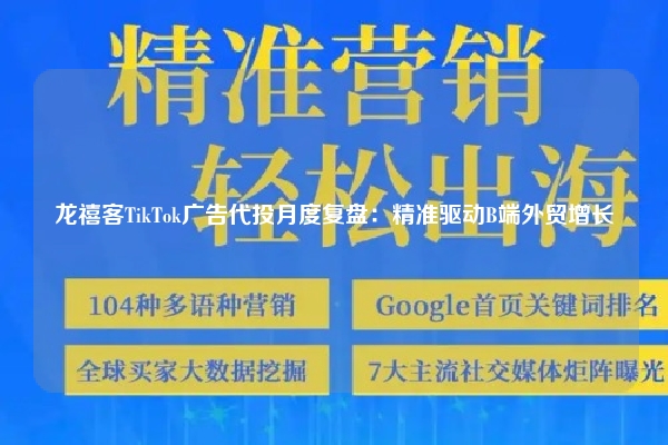 龙禧客TikTok广告代投月度复盘：精准驱动B端外贸增长