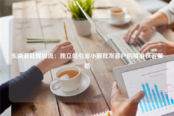 东南亚社媒投流：独立站引流小额批发客户的精准获客策略